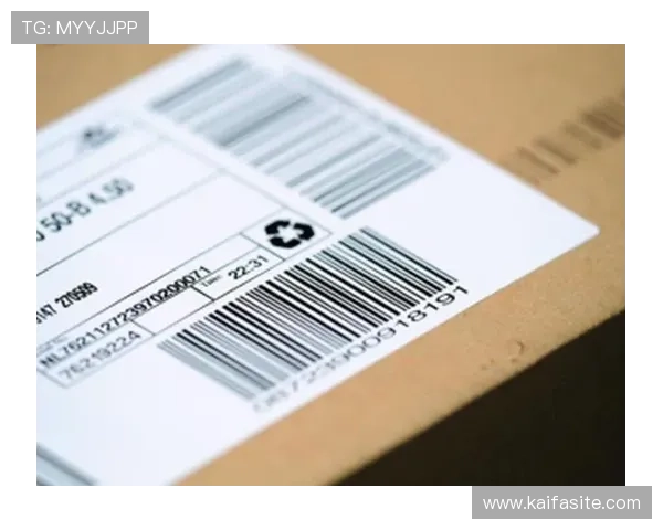 K8凯发真人手机版多平台兼容体验优化，手机与电脑双端畅玩指南